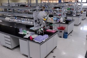 CICB's_Laboratory