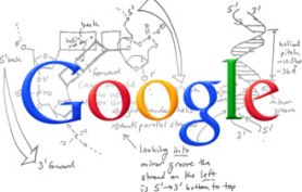 new-google-algorithm